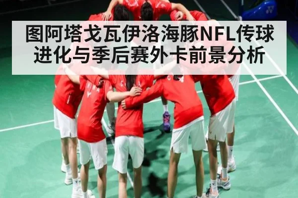 图阿塔戈瓦伊洛海豚NFL传球进化与季后赛外卡前景分析